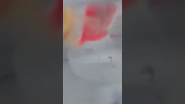 Меняем воду в аквариуме! Как поменять воду для тех кто не знает! смотреть онлайн