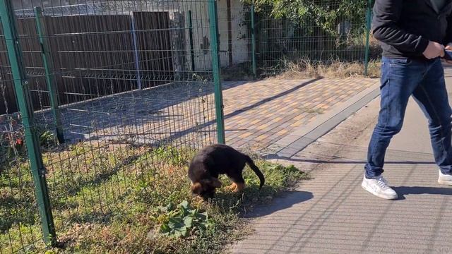 Красавчик ДЖЕЙСОН. Первый день в Одессе. 2022. смотреть онлайн