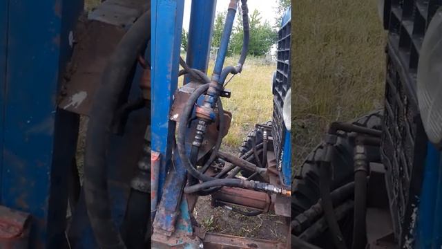 Задний кун спереди