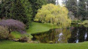 САД В ПРИРОДНОМ СТИЛЕ / НАТУРГАРДЕН В ЛАНДШАФТНОМ ДИЗАЙНЕ / wild garden ?