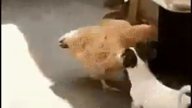 Пошли, чайку попьём... смотреть онлайн