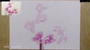 Как нарисовать цветы карандашом ПОЭТАПНО. Учимся рисовать цветными карандашами!