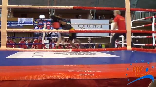 Бой 5 раунд 2.РИНГ Саньда.05.12-15. Чемпионат Европы по кунгфу