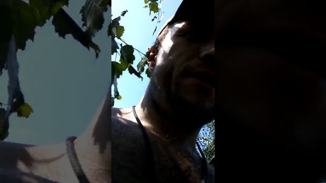 Струнная пила с АлиЭкспресс смотреть онлайн