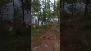 Река Койгера.  Карелия 2018