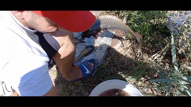 Рыбалка и отдых озерах Хорезма смотреть онлайн