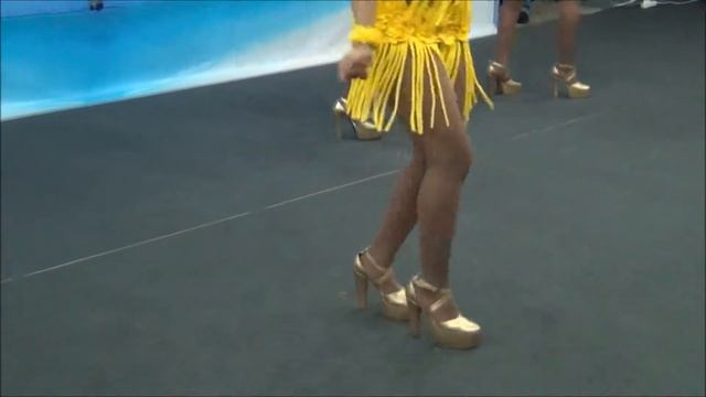 Сальса на выставке "Америка до Колумба" (29.03.2014) смотреть онлайн