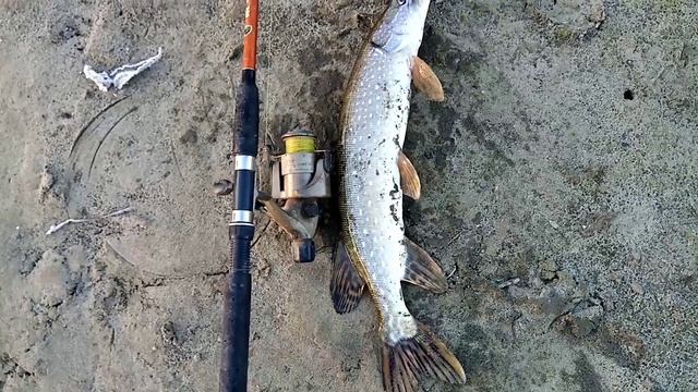 Рыбалка на утренней зорки. смотреть онлайн