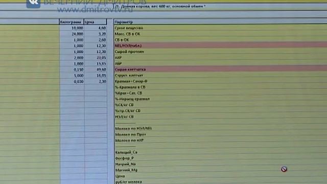 «Дубна плюс» смотреть онлайн