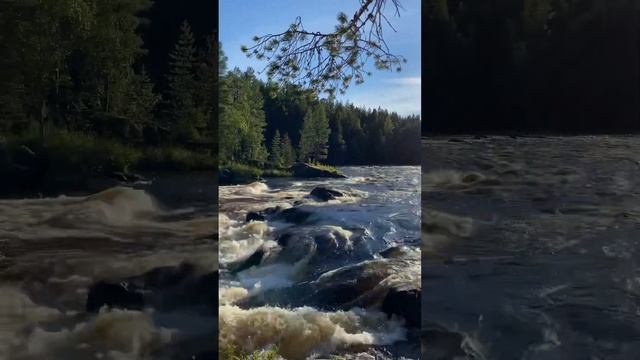 На байдарках по реке Кереть с выходом в Белое море. смотреть онлайн