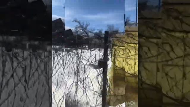 СРОЧНО ПРОДАЁТСЯ ДАЧА В ЦЕНТРЕ ГОРОДА