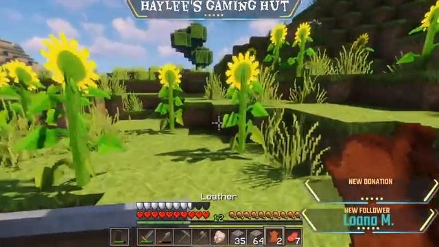 Minecraft Java Stream !! смотреть онлайн