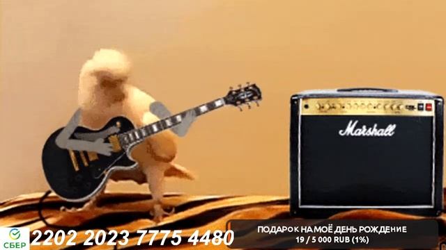 СТРИМ ГИТАРА! МОЖНО ЗАКАЗАТЬ ПЕСНЮ ПОД ГИТАРУ ССЫЛКА НА ДОНАТ в ОПИСАНИИ смотреть онлайн