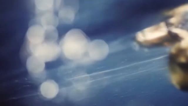 Инна Вальтер & А Дрюня Обрастаем враньем смотреть онлайн