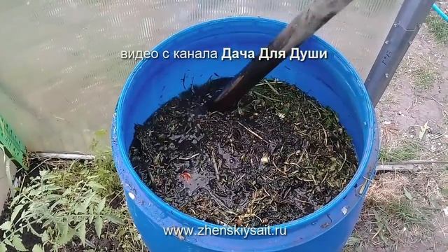 Чем и Когда кормить МАЛИНУ? смотреть онлайн