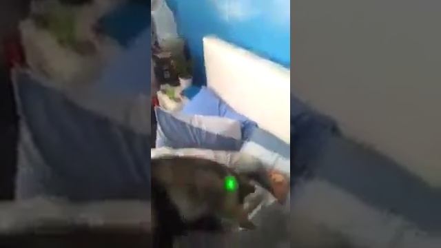 Самый эффективный способ разбудить друга смотреть онлайн