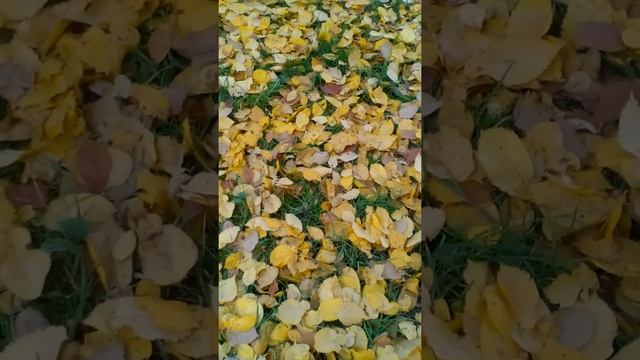 Краски осени смотреть онлайн