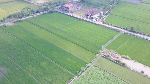 Test terbang drone fimi a3 смотреть онлайн