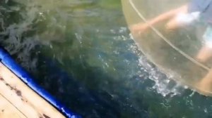 Отдых на Азовском море. Все плюсы и минусы