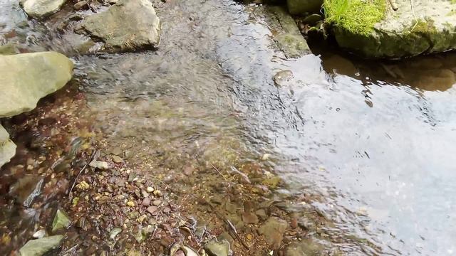 Весенний ручей смотреть онлайн