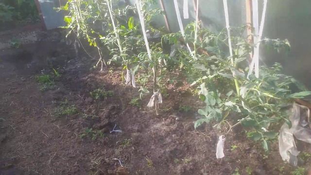 дача 32 смотреть онлайн