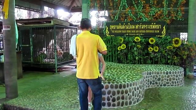 НЕСЧАСТНЫЕ ЖИВОТНЫЕ ТАЙЛАНДА ПАТТАЙЯ Pattaya смотреть онлайн