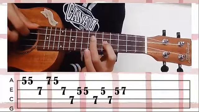 Cinnamons - SUMMERTIME | Ukulele with Chelsie смотреть онлайн