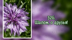 Гимны надежды 326 Шалом, о друзья (-)