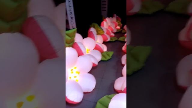 Пневмоцветы, раскрывающиеся цветы Яблоневый Цвет смотреть онлайн