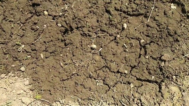 Очищаю участок. Появилась вода!!! ? смотреть онлайн