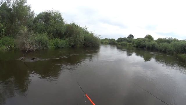 Сплав по Неману. Ловля спиннингом по высокому уровню воды. смотреть онлайн