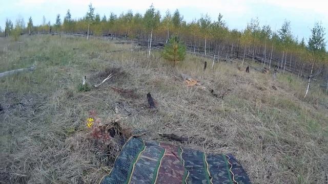 Простой и эффективный способ маскировки на гусиной охоте. смотреть онлайн