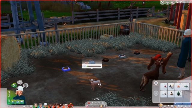 ОБЗОР МОДА НА ФЕРМУ В СИМС 4 | MY FIRST FARM ANIMAL MOD SIMS 4 смотреть онлайн