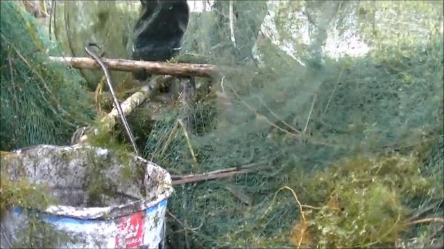 Рыбалка на карася в сентябре. Ондатра - враг рыбака смотреть онлайн