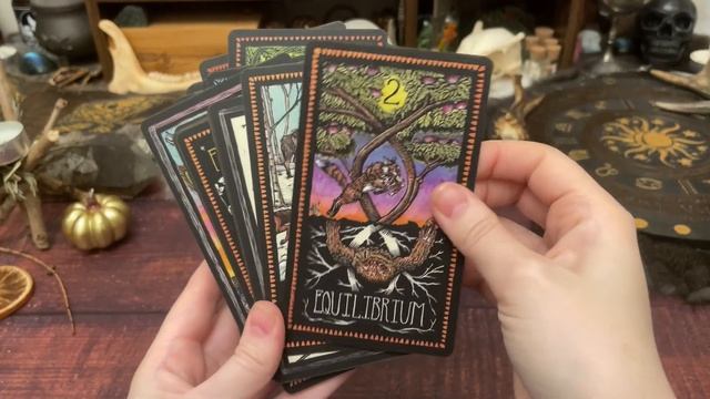Animal only tarot decks, people not advised // Deck Collection Series 2022 смотреть онлайн