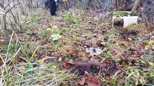 МЕТАЛЛАКОП КОПАЕМ ДОМ ТРАКТОРИСТА смотреть онлайн