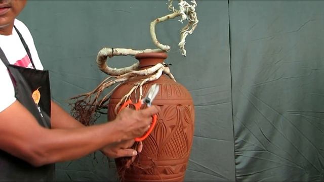 How to make Banyan Bonsai/Potsai смотреть онлайн