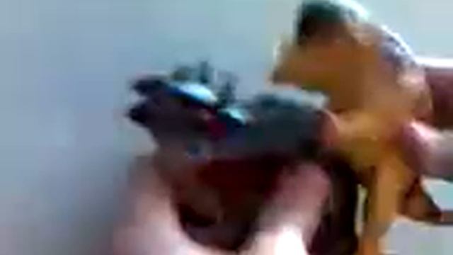 Seкс динозавров