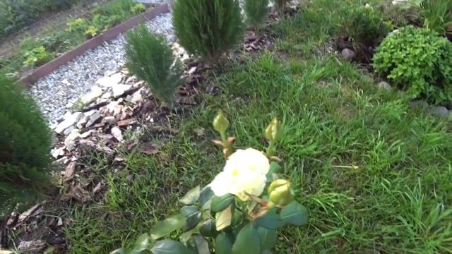 Влог НЕ советую такие стулья для кухни / Хорошо что все сразу не купили смотреть онлайн