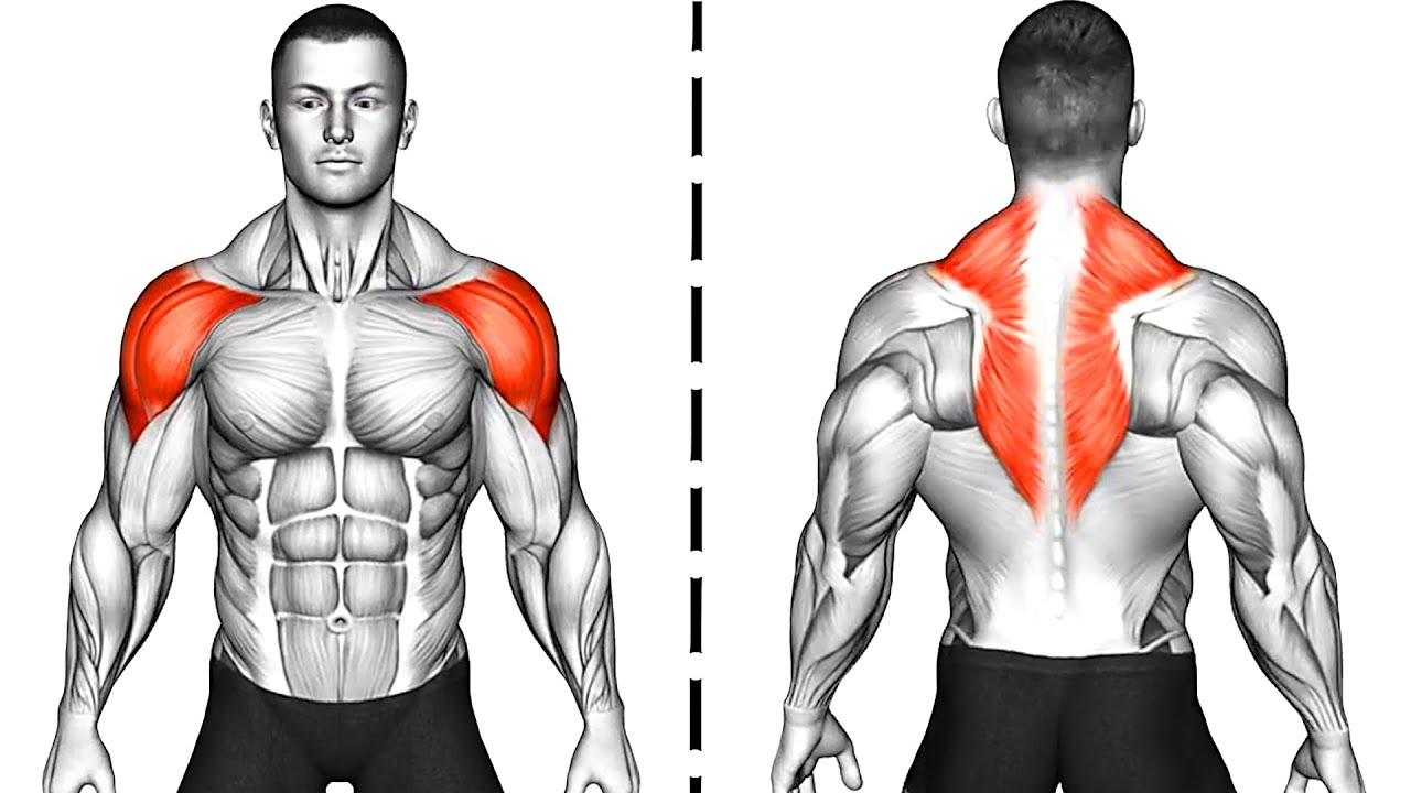 Лучшие Упражнения для Плеч и Спины Дома смотреть онлайн