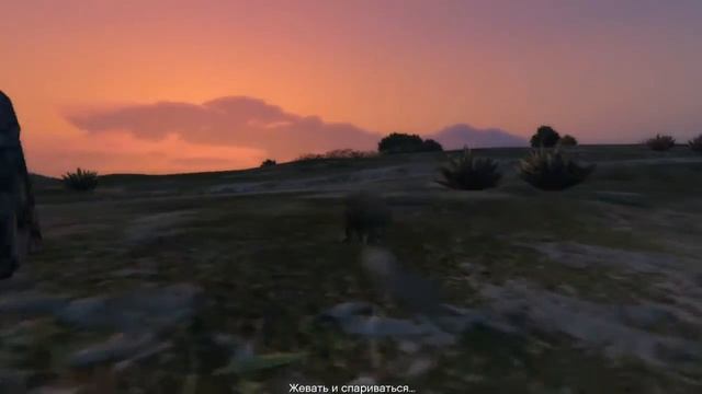 GTA 5 / Играем кроликом - лофофора смотреть онлайн