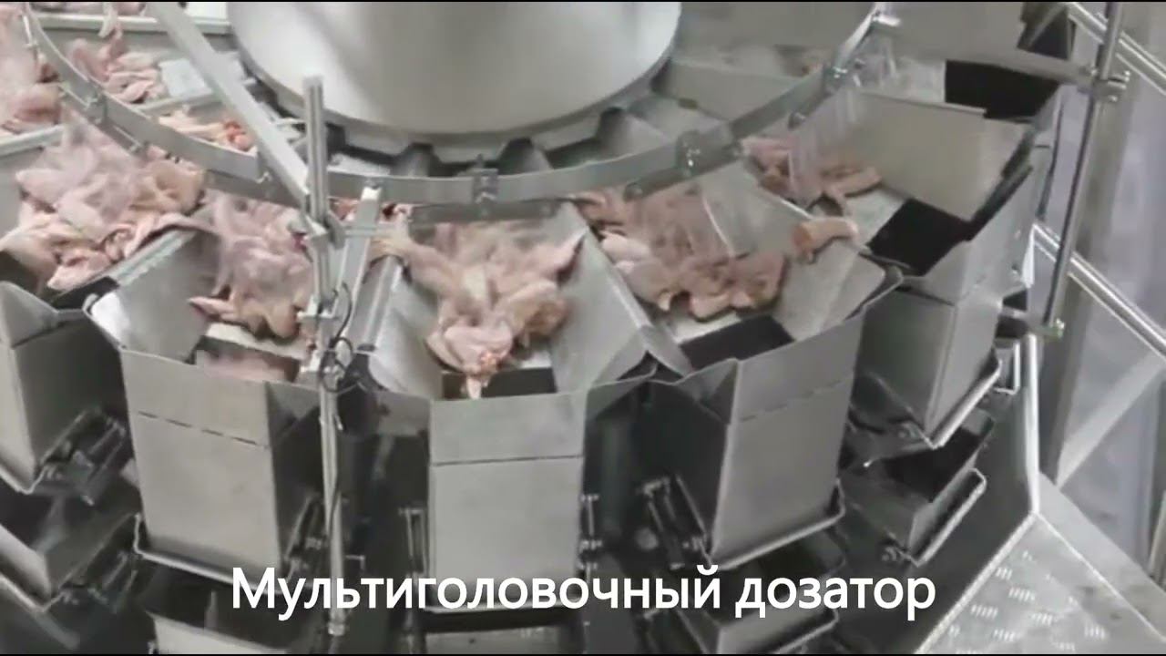 Мультиголовочный дозатор/ фасовка мяса / фасовка птицы смотреть онлайн