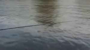 На рыбалку со спортивной снастью. Ловля штекером