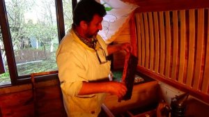 Расширение в Апидомике семья трутовка