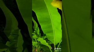 Какие были деньги в детстве