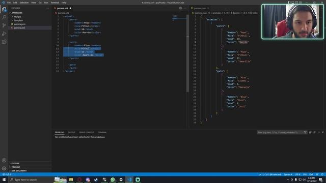 Creando Perrera con XML y JSON #100daysofcode 4 смотреть онлайн