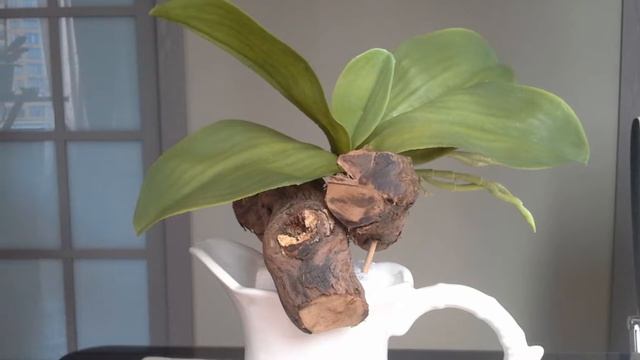 Интерьерная композиция с искусственной орхидеей. смотреть онлайн