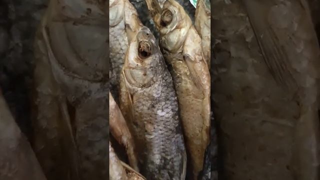 Немного таранкиине помешает смотреть онлайн