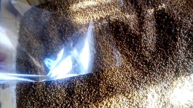 пакет для мицелия