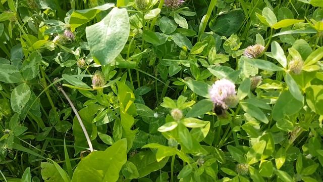 11 ЛЕТ ВМЕСТЕ ИЛИ НЕУДАЧНАЯ РЫБАЛКА смотреть онлайн